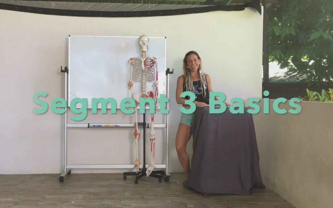 Anatomy Intro – Segment 3