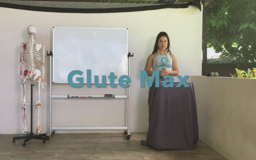 Glute Max