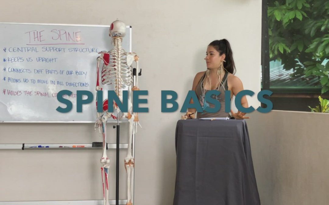 Spine Basics