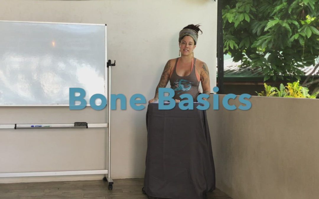 Bone Basics
