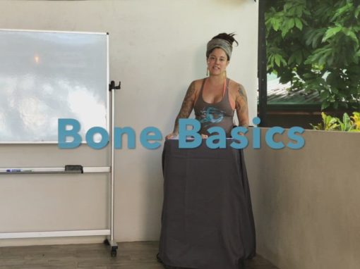 Bone Basics