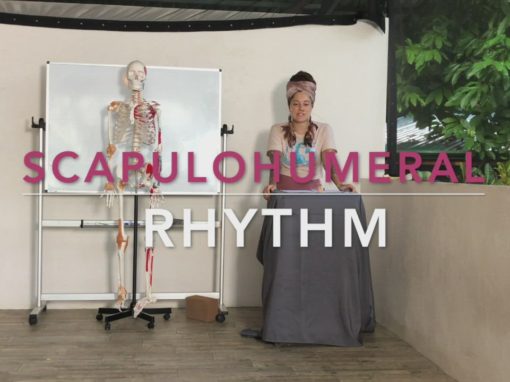 Scapulohumeral Rhythm